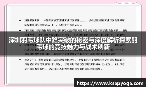 深圳羽毛球队中路突破的秘密与深度解析探索羽毛球的竞技魅力与战术创新