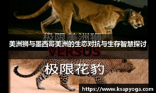 美洲狮与墨西哥美洲的生态对抗与生存智慧探讨